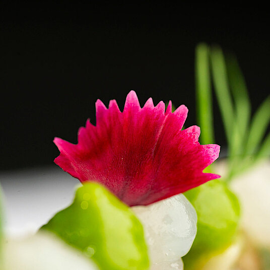 The second course of the vegetarian Eatrenalin menu 'Green Dimensions' In the room 'Waterfall', the course 'A ritual for your palate' awaits you.